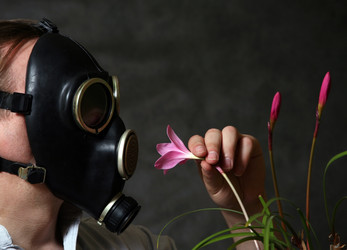 Similar image 1552258