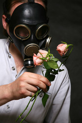 Similar image 1552271