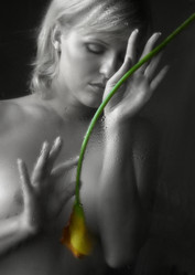 Similar image 1552298