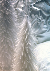 Similar image 1552623