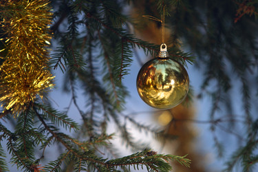 Similar image 1552634