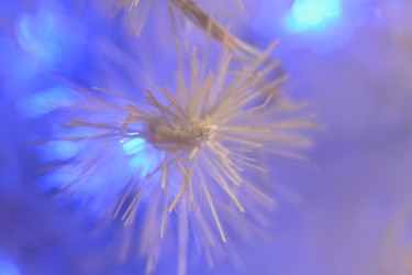 Similar image 1552659