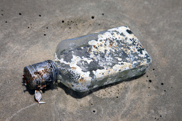 Similar image 1552662