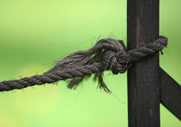 Similar image 1552671