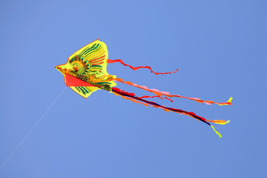 Similar image 1552702