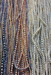 Similar image 1552724