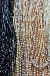 Similar image 1552731