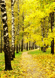 Similar image 1552736