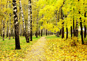 Similar image 1552739