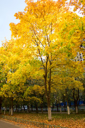 Similar image 1552752