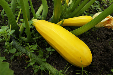 Similar image 1552764