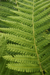 Similar image 1552765