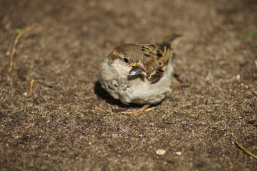 Similar image 1552775