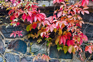 Similar image 1552797