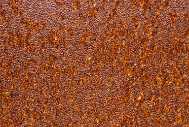 Similar image 1552800