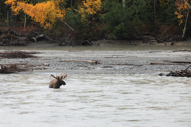 Similar image 1552816