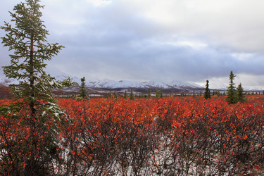 Similar image 1552817