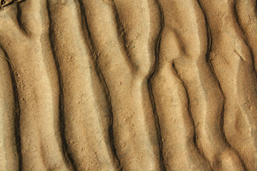 Similar image 1552824