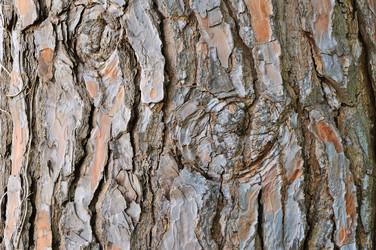 Similar image 1552988