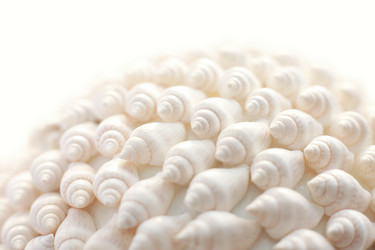 Similar image 1553031