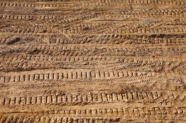 Similar image 1553101