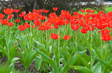 Similar image 1553168