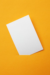 Similar image 1553181