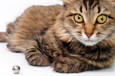 Similar image 1553198