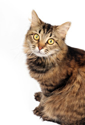 Similar image 1553200