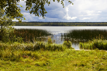 Similar image 1553235