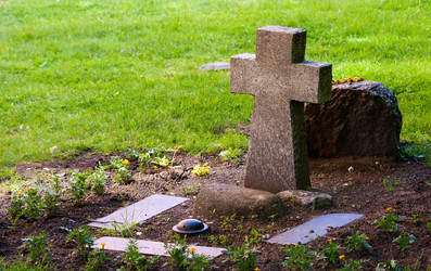 Similar image 1553246