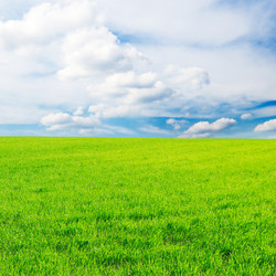 Similar image 1553346