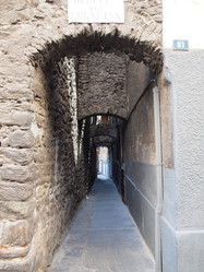 Similar image 1553365