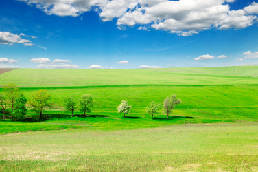 Similar image 1553390