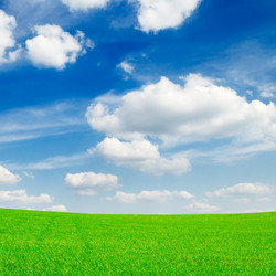 Similar image 1553423