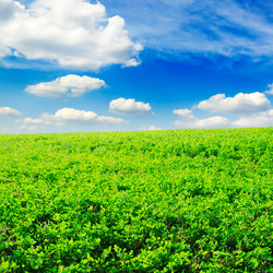 Similar image 1553436