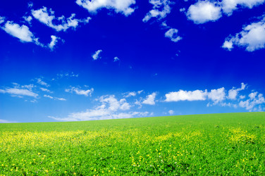 Similar image 1553451