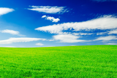 Similar image 1553460