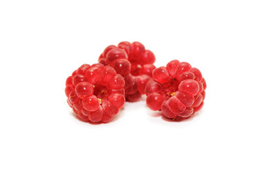 Similar image 1553463