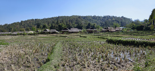 Similar image 1553617