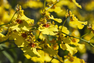 Similar image 1553652