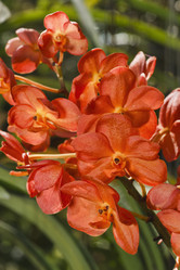 Similar image 1553659