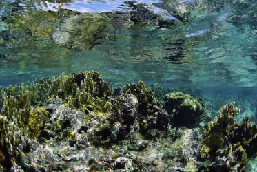 Similar image 1553662