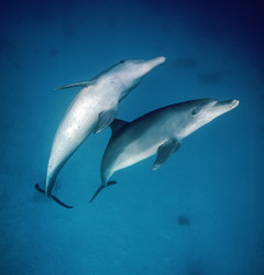 Similar image 1553676