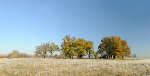 Similar image 1553806