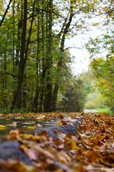 Similar image 1553812