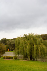 Similar image 1553815