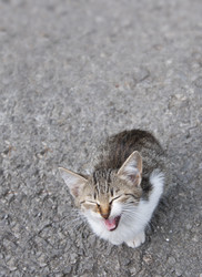 Similar image 1553862