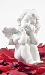 Similar image 1554015