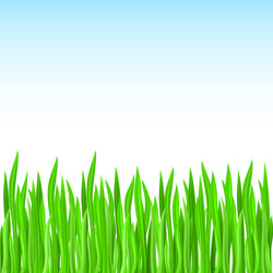 Similar image 1554026